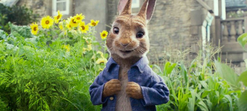 Movie Review Peter Rabbit Archdiocese Of Baltimore