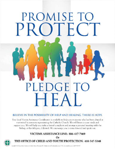 Promise to Protect, Pledge to Heal poster
