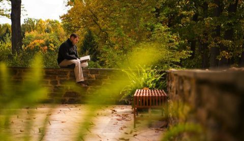 National Hermit Day flyer