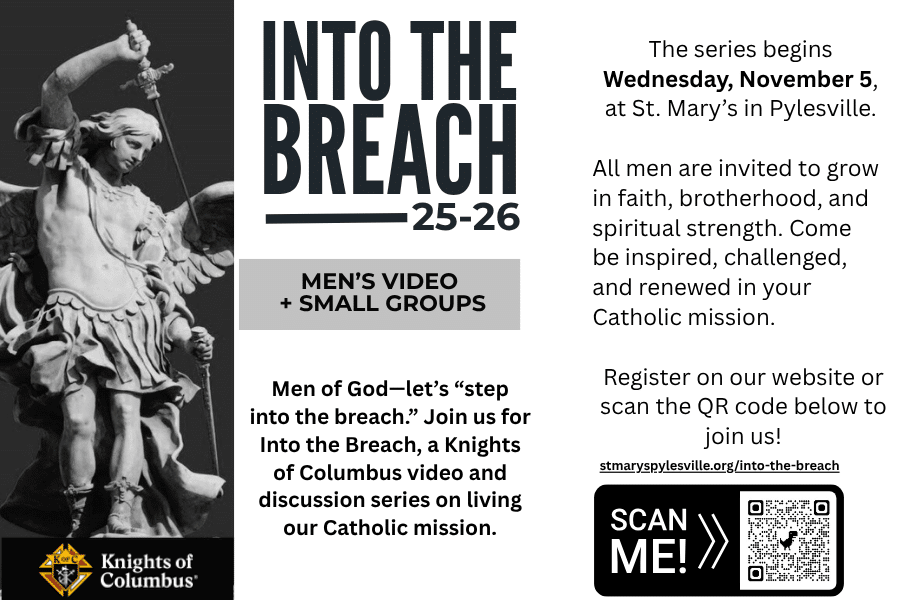 Into the Breach flyer