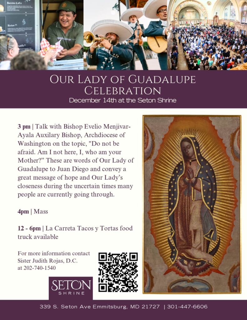 Our Lady of Guadalupe Celebration flyer