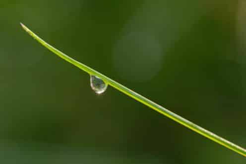 The Art of Noticing retreat flyer