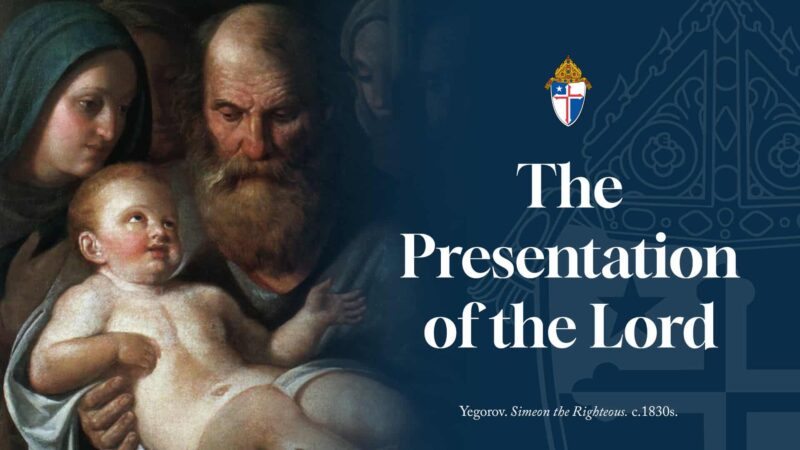 February feast day graphics