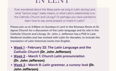 Latin language series